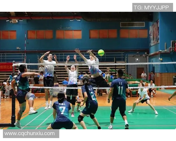 广州排球队心理素质引发热议球迷与专家观点交锋分析