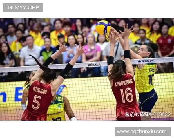 最新排球耐力排行榜揭晓西安排球队强势领跑前十名
