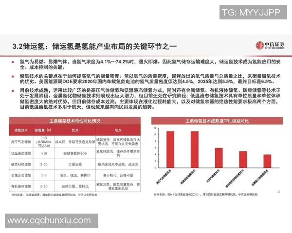 上海排球队技术分析与战术创新的深度探讨与展望