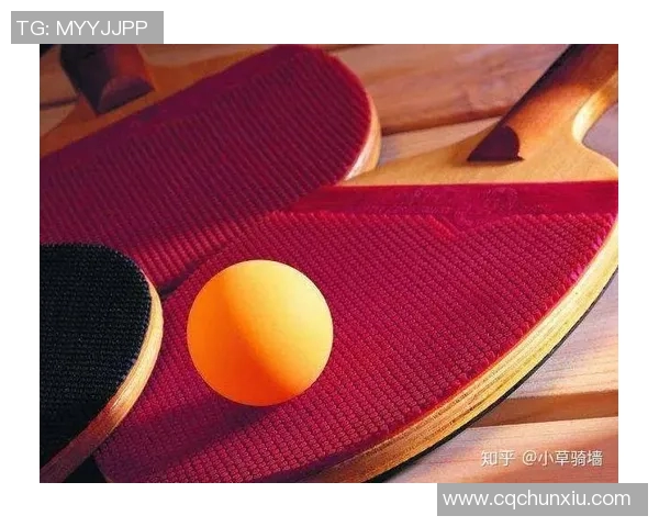 乒乓球爱好者必看护膝选购指南与推荐产品解析