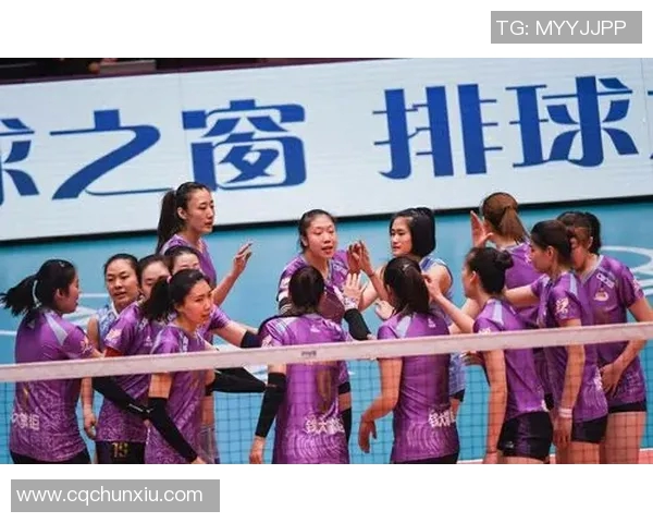 杭州排球队的战术控制与团队协作深度分析