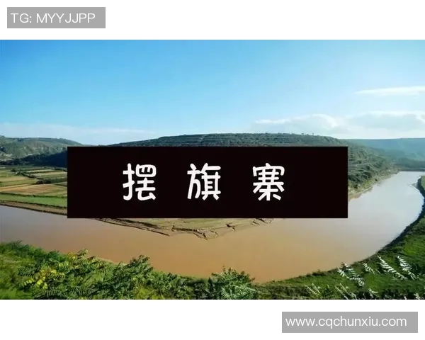 西安排球队运营革新探索：从管理模式到市场策略的全面升级之路