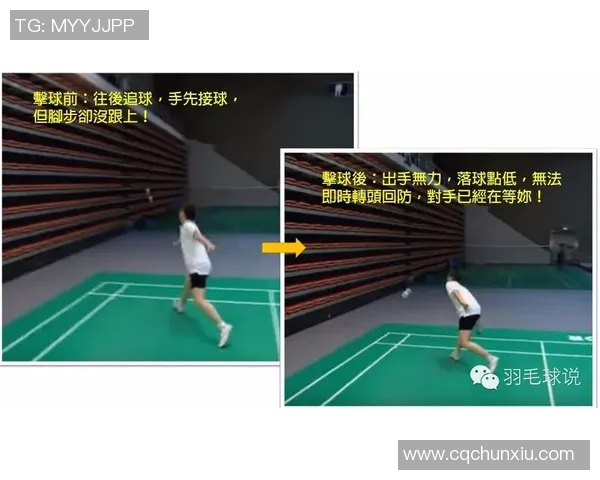 西安羽毛球队区域防守分析与战术调整探讨 西安羽毛球队区域防守分析与战术调整探讨