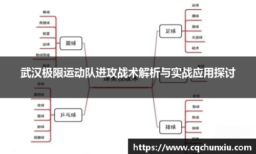 武汉极限运动队进攻战术解析与实战应用探讨