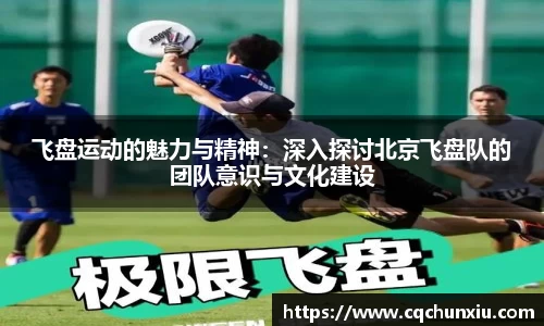 飞盘运动的魅力与精神：深入探讨北京飞盘队的团队意识与文化建设
