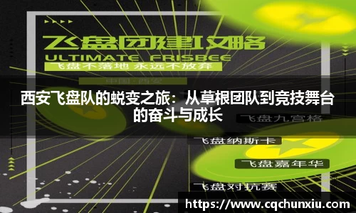 关键词4