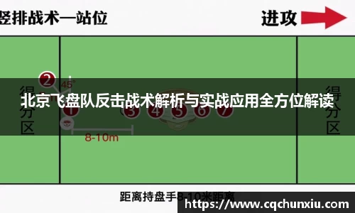 北京飞盘队反击战术解析与实战应用全方位解读