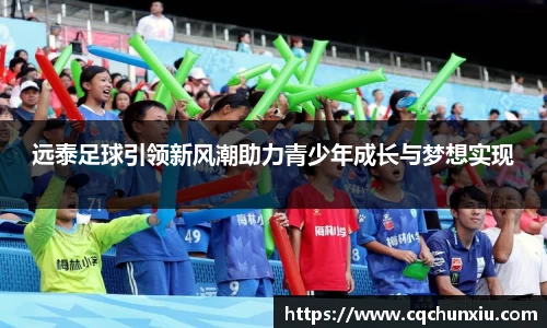 谈球吧体育球迷